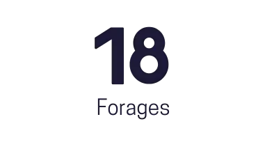 18 forages